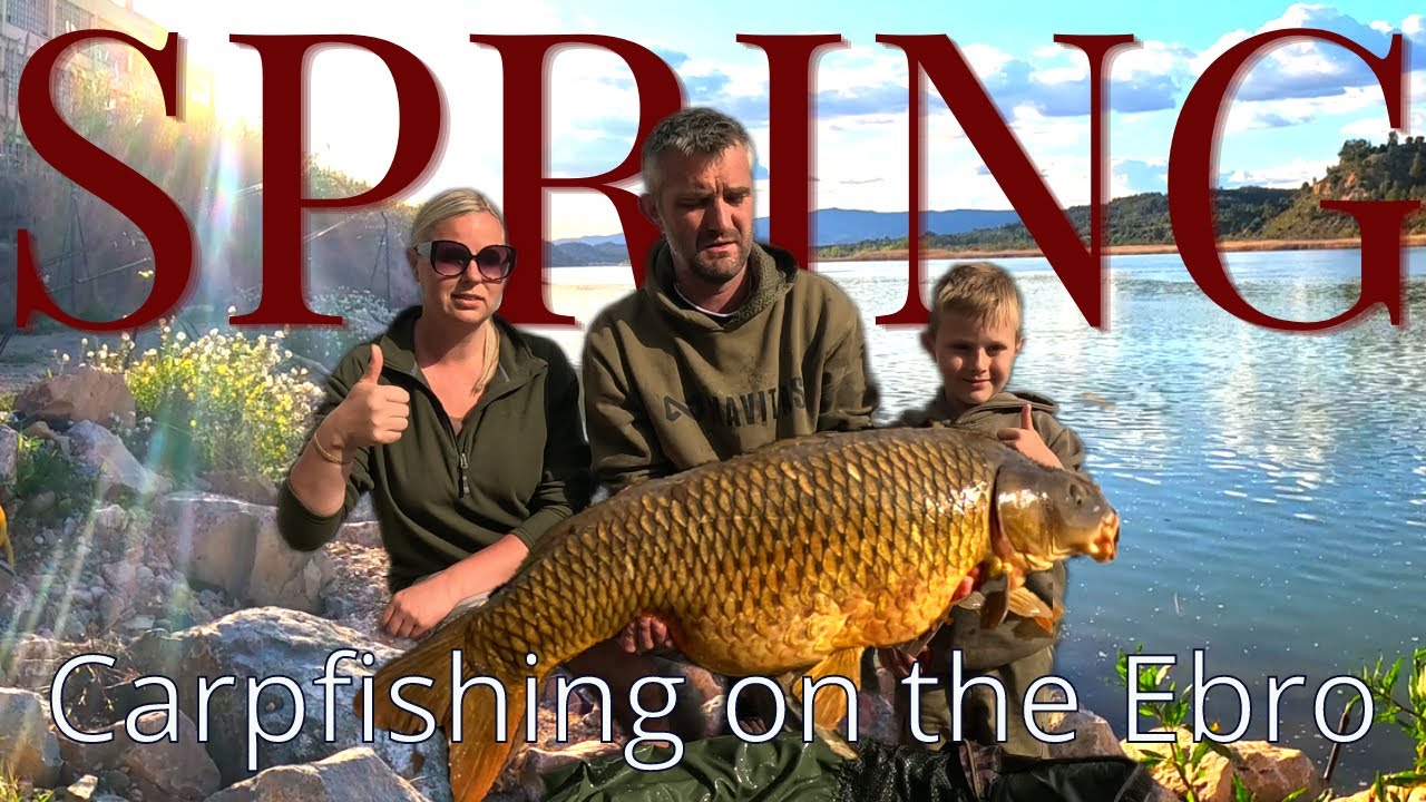 🎣 SPRINGTIME MONSTER CARP on the EBRO! | Family's EPIC Week with Nick Shattock 🌞🐟