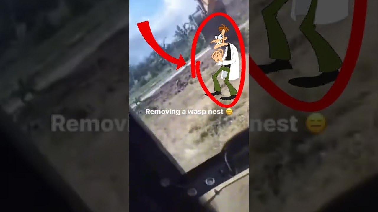 dr doofenshmirtz removes a wasp nest