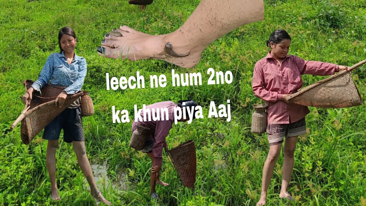 Machhalee 🐟 pakarne k liye gaye thee... ulta leech ne hame pakarliya😭🤣