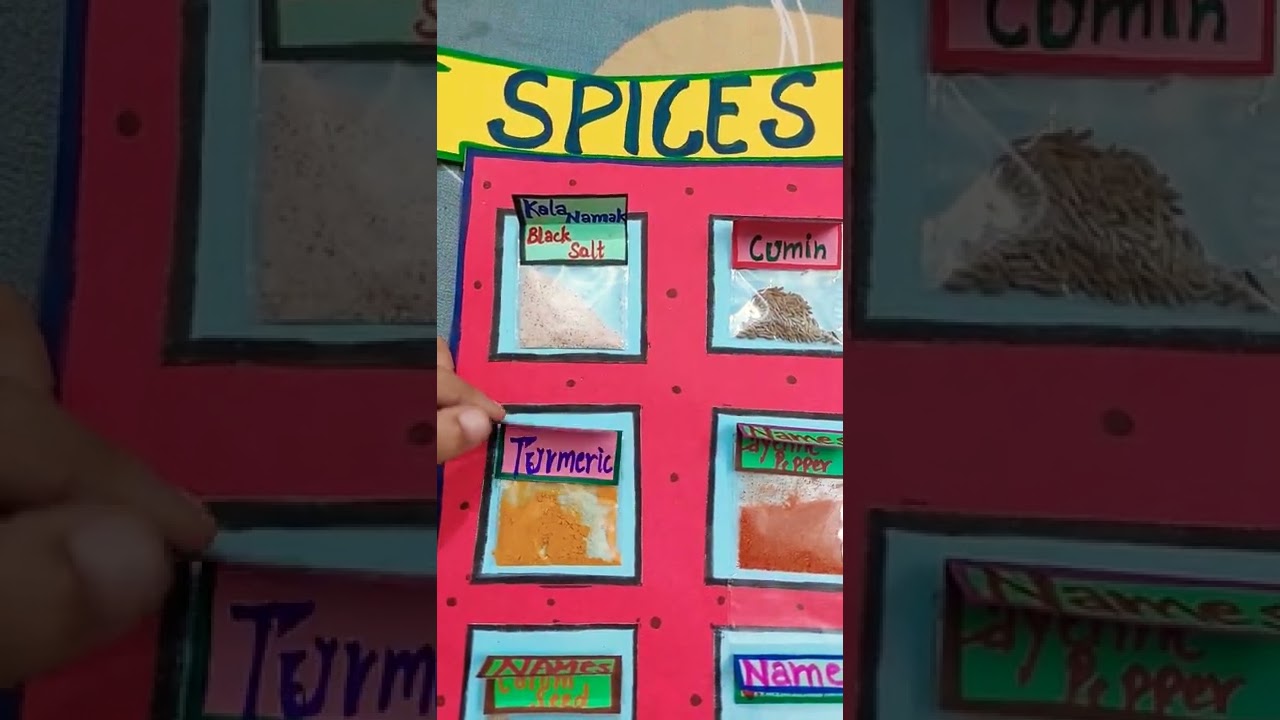 Spices art ,school project work || spices activity for kids || indian and english names.😀.