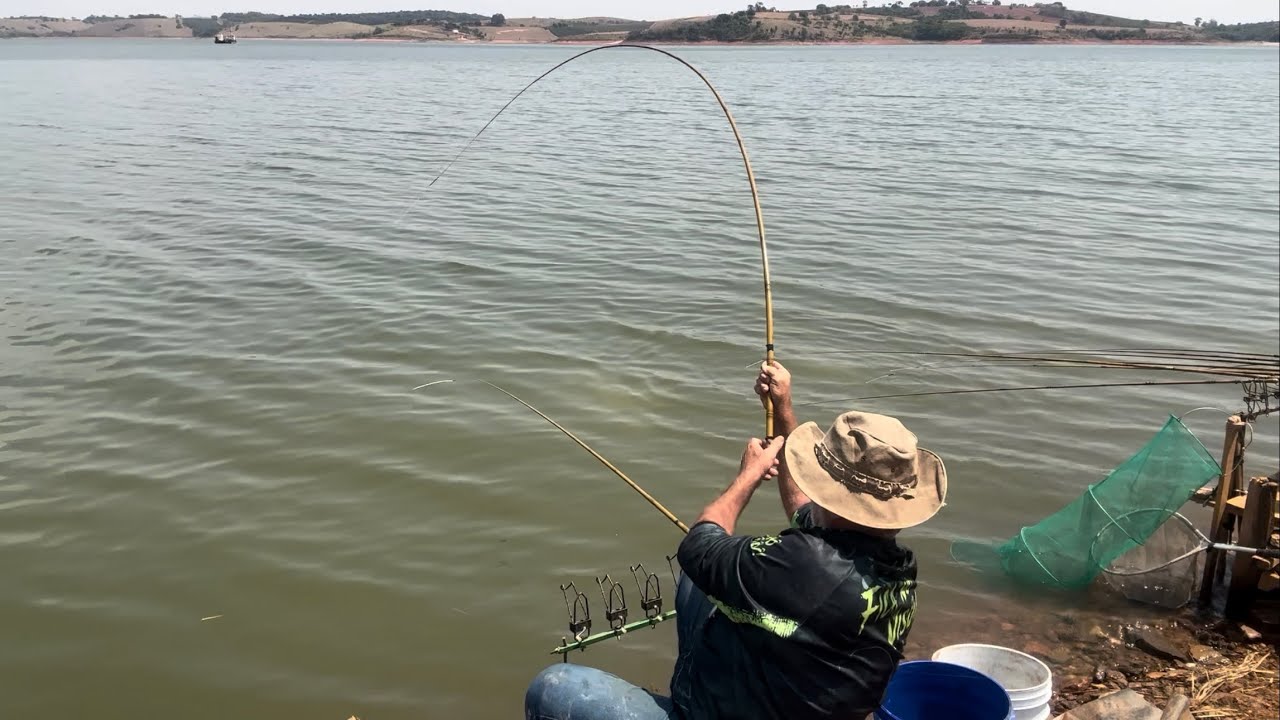 Pescaria de til&aacute;pia na t&eacute;cnica rabichinho. Sem isca 