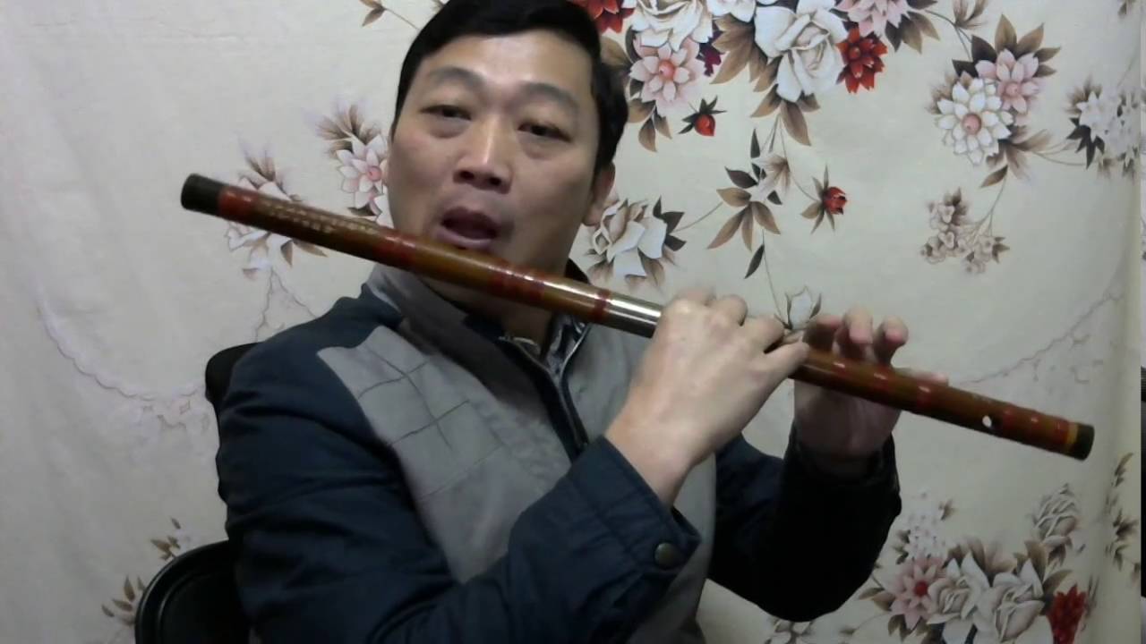 Chinese bamboo flute 《Painted heart 》practise with Key C dizi張靚穎《畫心》 Dy71 HCfQ E x264