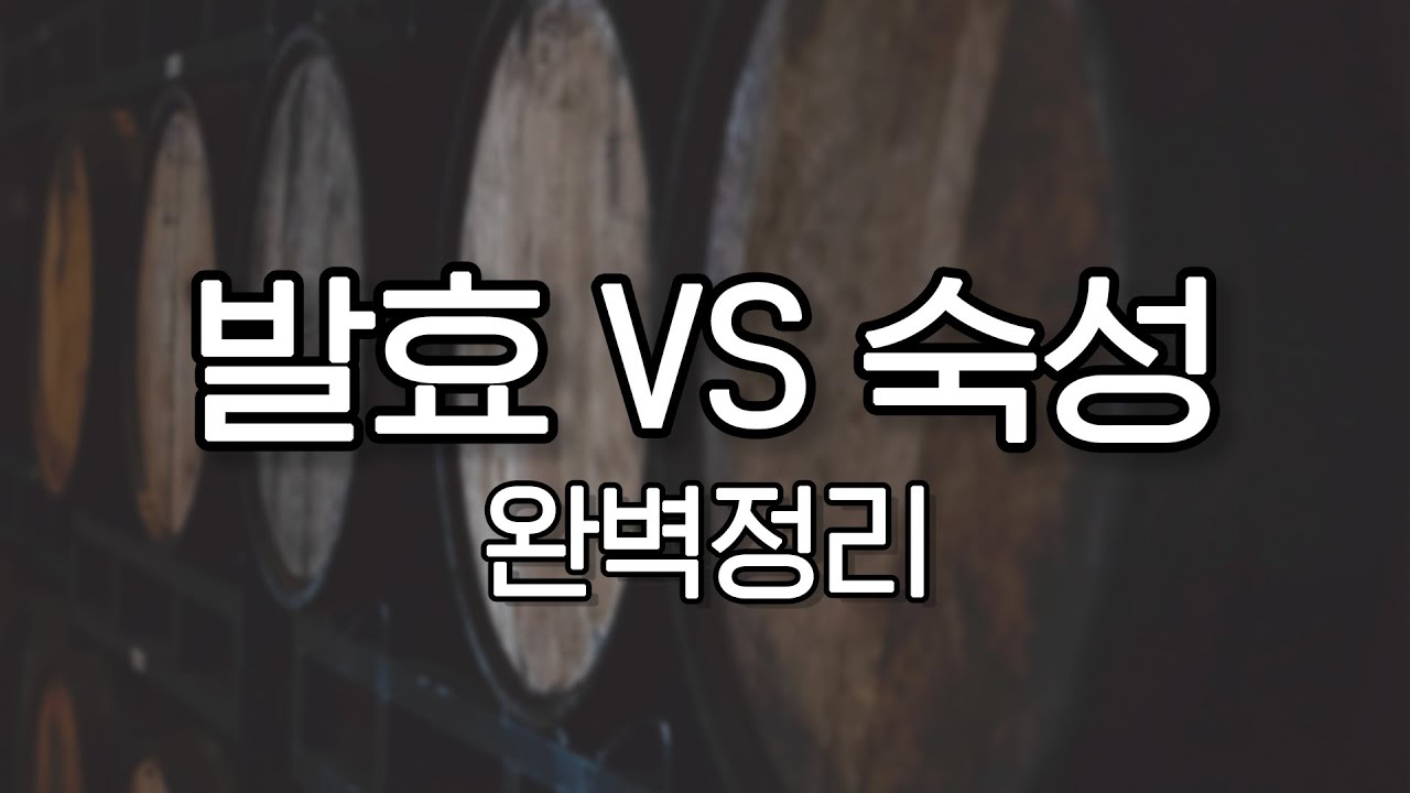 17년산이라고..!? 술을 오래 두면 맛있어질까? | '발효&숙성' 완벽정리