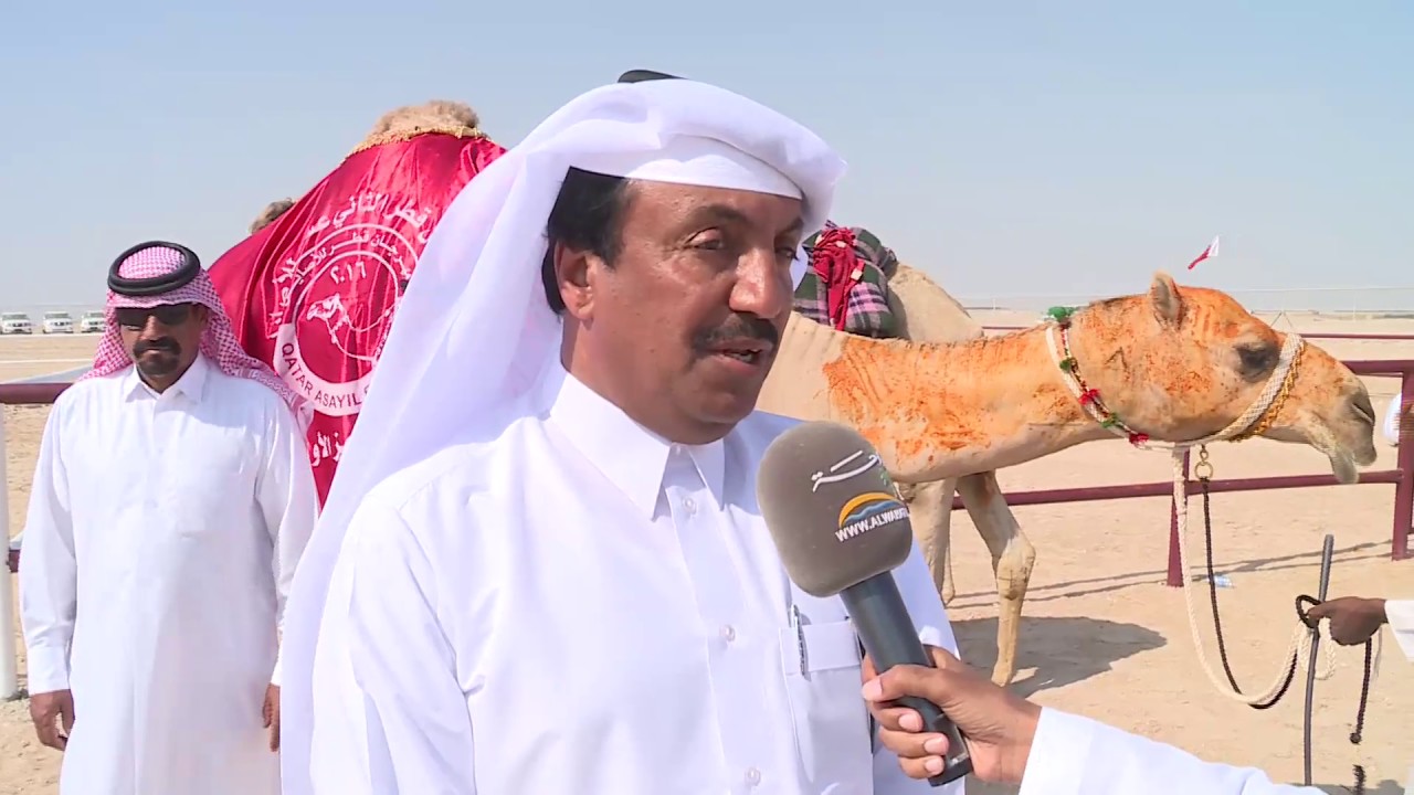 مهرجان قطر للاصايل الموسم الثاني عشر ٢٠١٦ - اليوم الرابع
