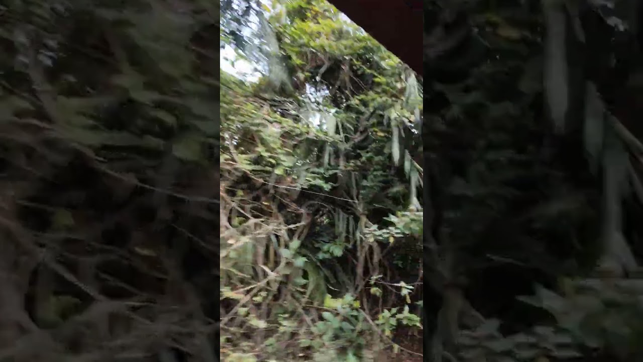 Dudhsagar Water Falls, Sonauli, Goa 403410 20/02/2026 11:08 AM