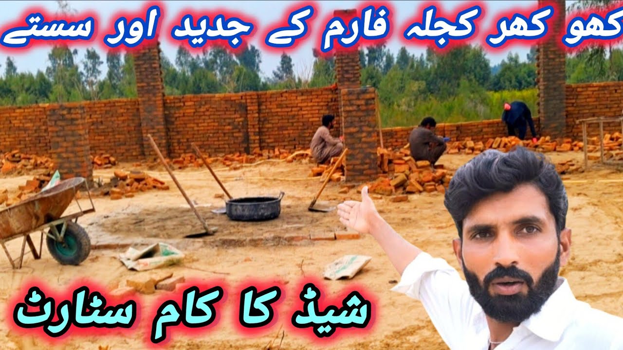بھیڑوں کے لیے نیو جدید طریقے کا فارم سٹارٹ 