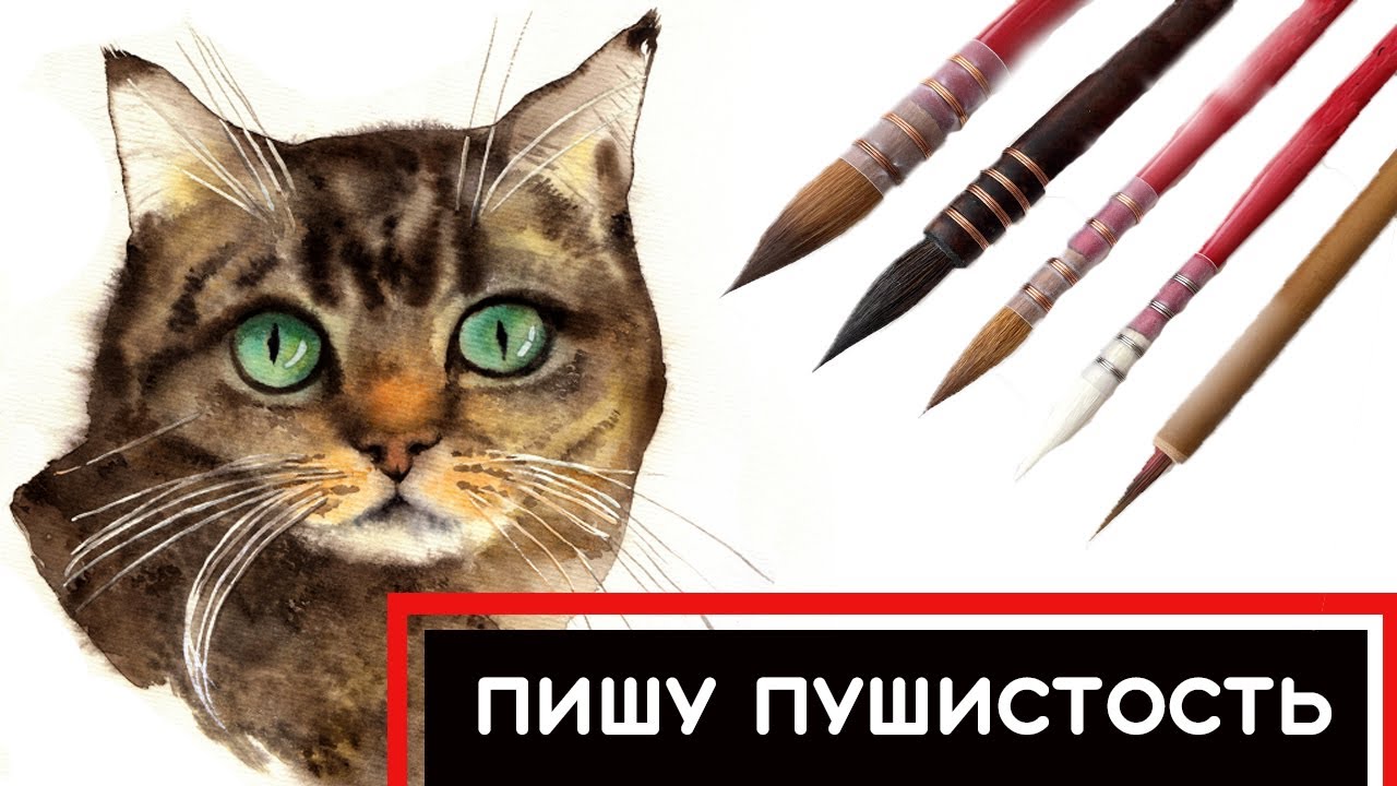 Урок Рисования Акварелью: ТЕХНИКИ И ПРИЁМЫ // Учимся Рисовать Шерсть // Кот Акварелью