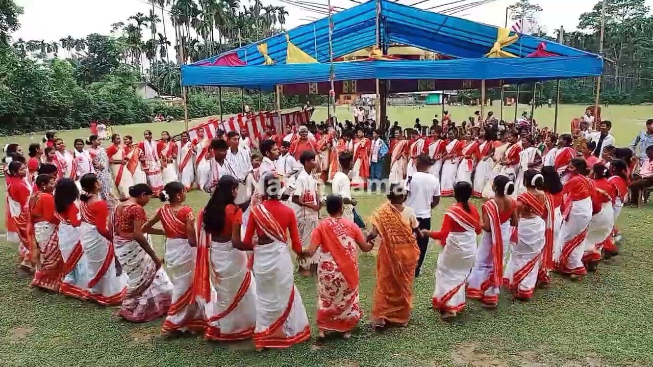 Sarhul Dance