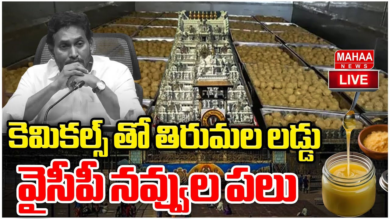 LIVE🔴:కెమికల్స్ తో తిరుమల లడ్డు | The Truth About Tirupati Laddu Fake Ghee | Mahaa News