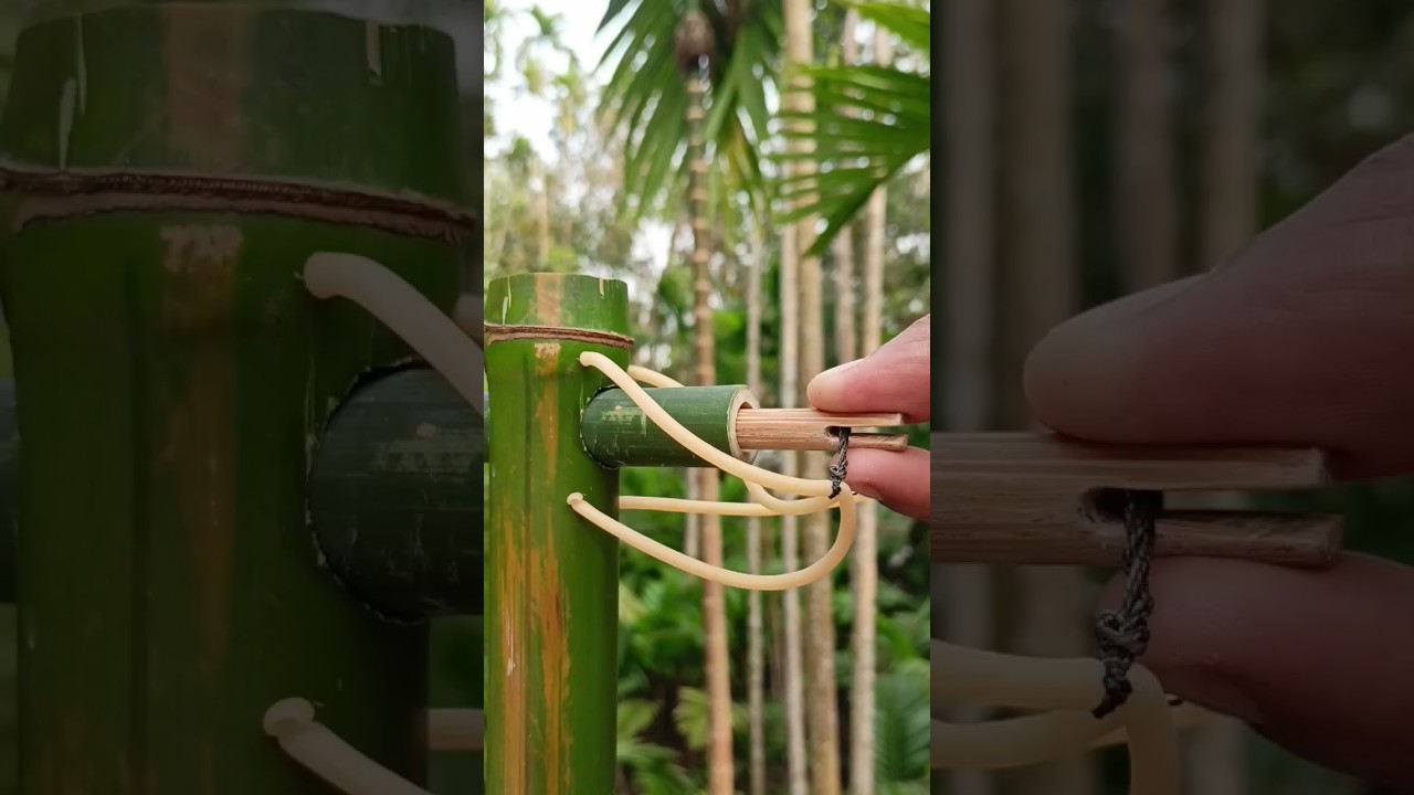 Bamboo creations #bamboo #bambooart #bambooshoot