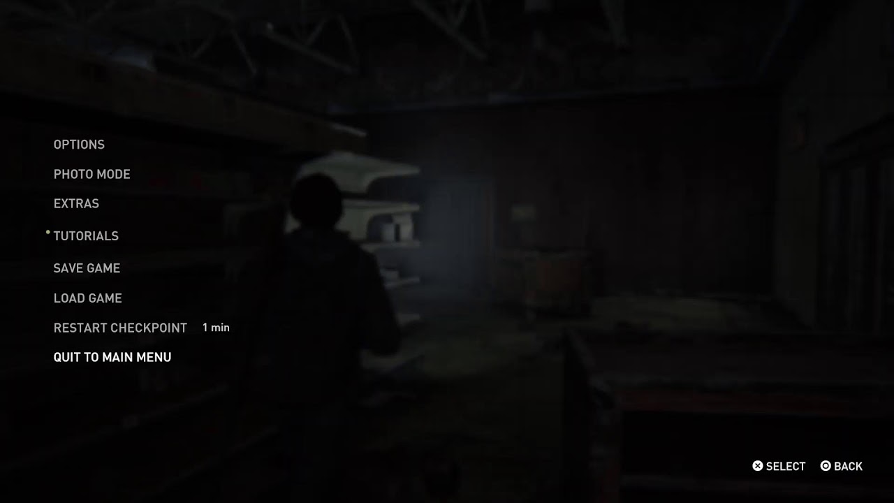 The Last of us pt2