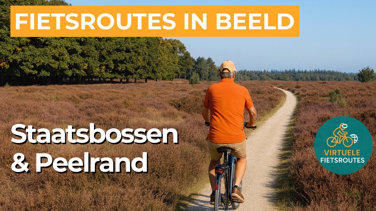 Virtueel Fietsen | Staatsbossen en Peelrand