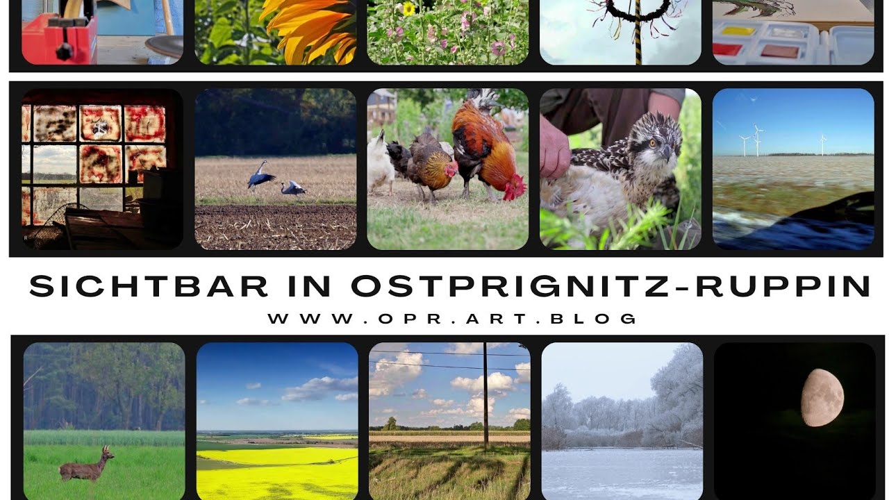 𝐒𝐢𝐜𝐡𝐭𝐛𝐚𝐫 𝐢𝐧 𝐎𝐬𝐭𝐩𝐫𝐢𝐠𝐧𝐢𝐭𝐳-𝐑𝐮𝐩𝐩𝐢𝐧 * ganzer Film * Dokumentation aus Brandenburg * Director's Cut