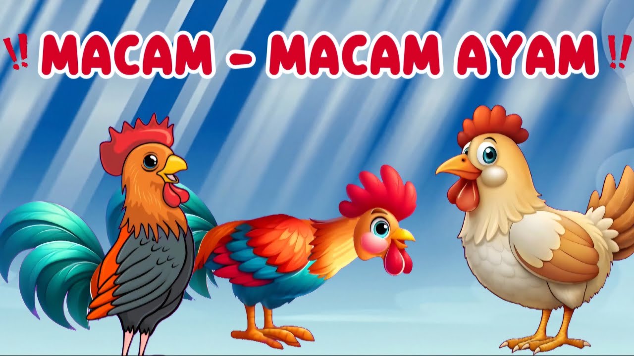 MACAM MACAM AYAM - LAGU ANAK INDONESIA - LAGU TERBARU - LAGU ANAK EDUKASTIF - BEBI FUN
