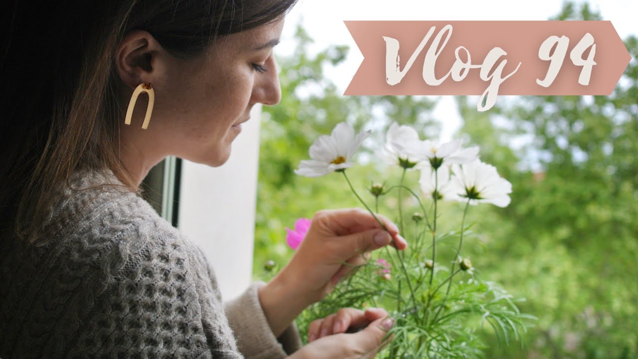 Dahlias et Anémones en rebord de fenêtre? Pothos & Sélection Lecture jardinage - VLOG 94