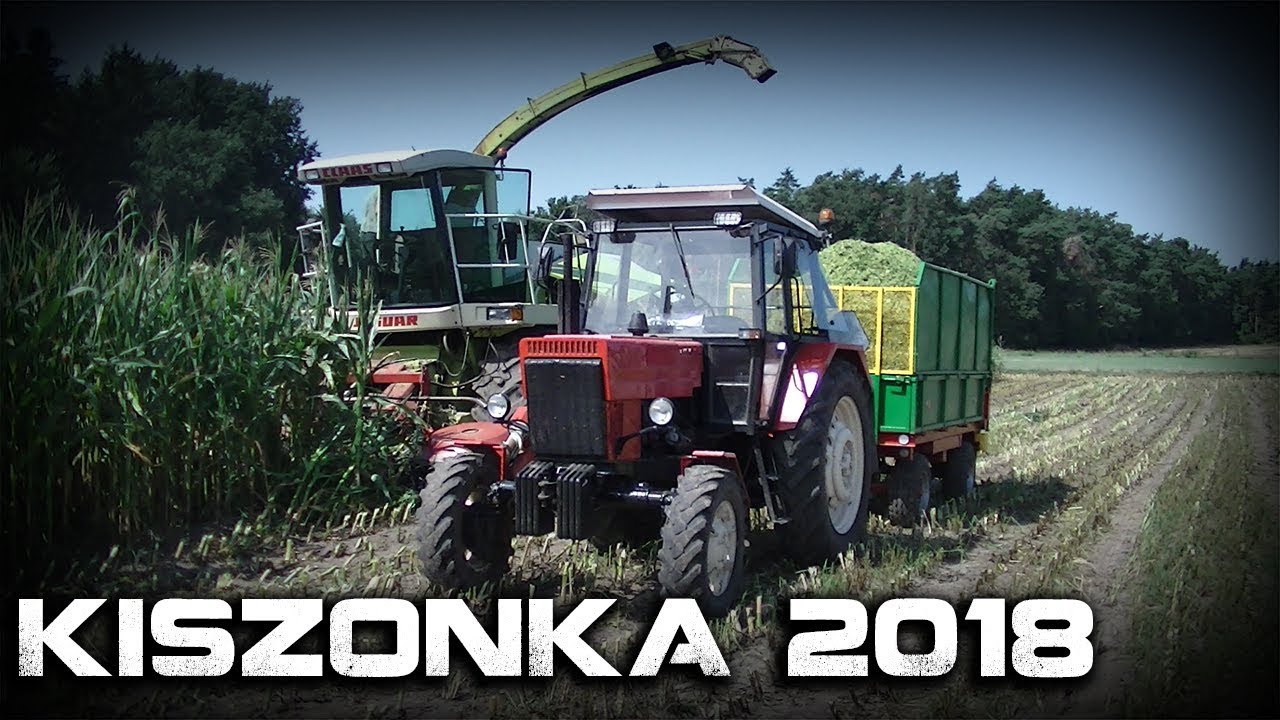 Kiszonka 2018! | Claas, Mtz