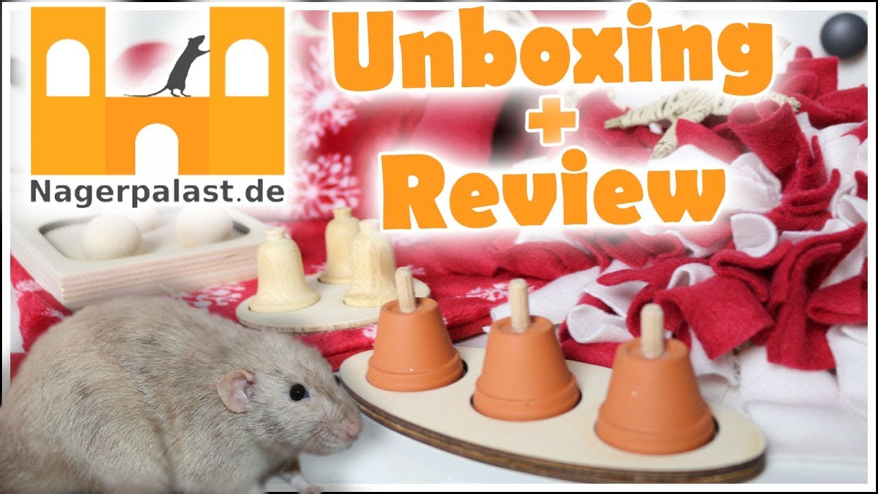 Intelligenzspielzeuge und winterliches Zubehör vom Nagerpalast | Unboxing+Review
