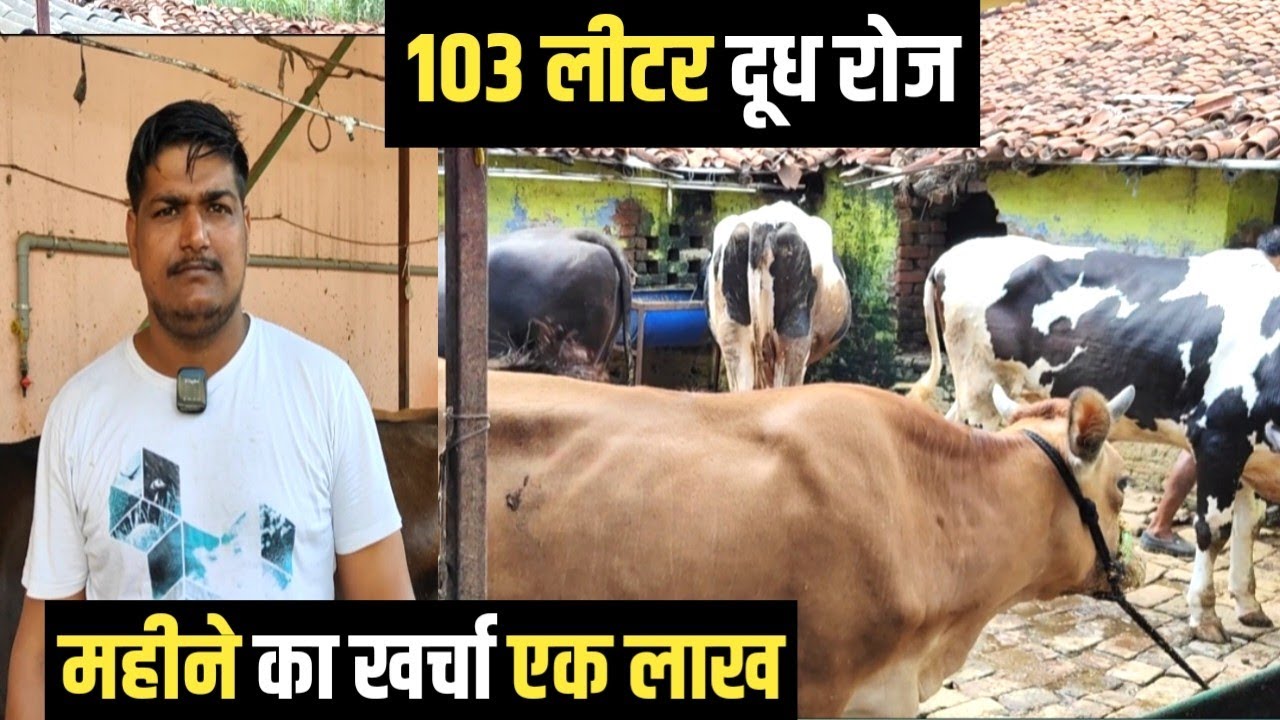 एक गाय से शुरू किया , आज महीने का खर्चा एक लाख | Dairy Farming In Bihar