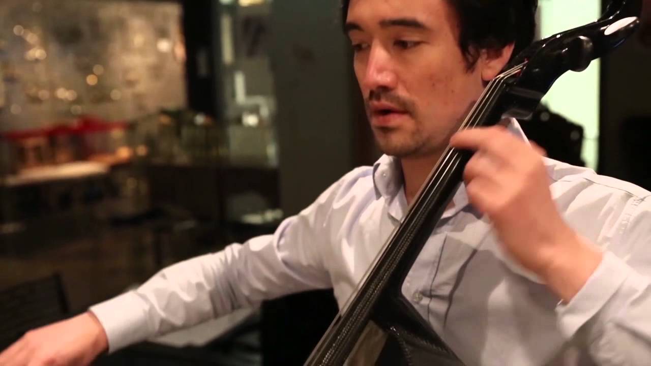 Debussy Clair de Lune for Harp and Cello - Arpège Duo