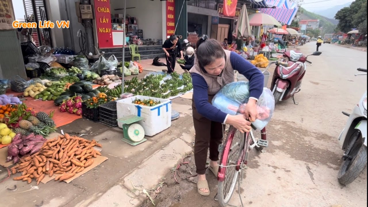 Mountain Life - Raising Chickens, Going to the Country Market, Picking Vegetables.