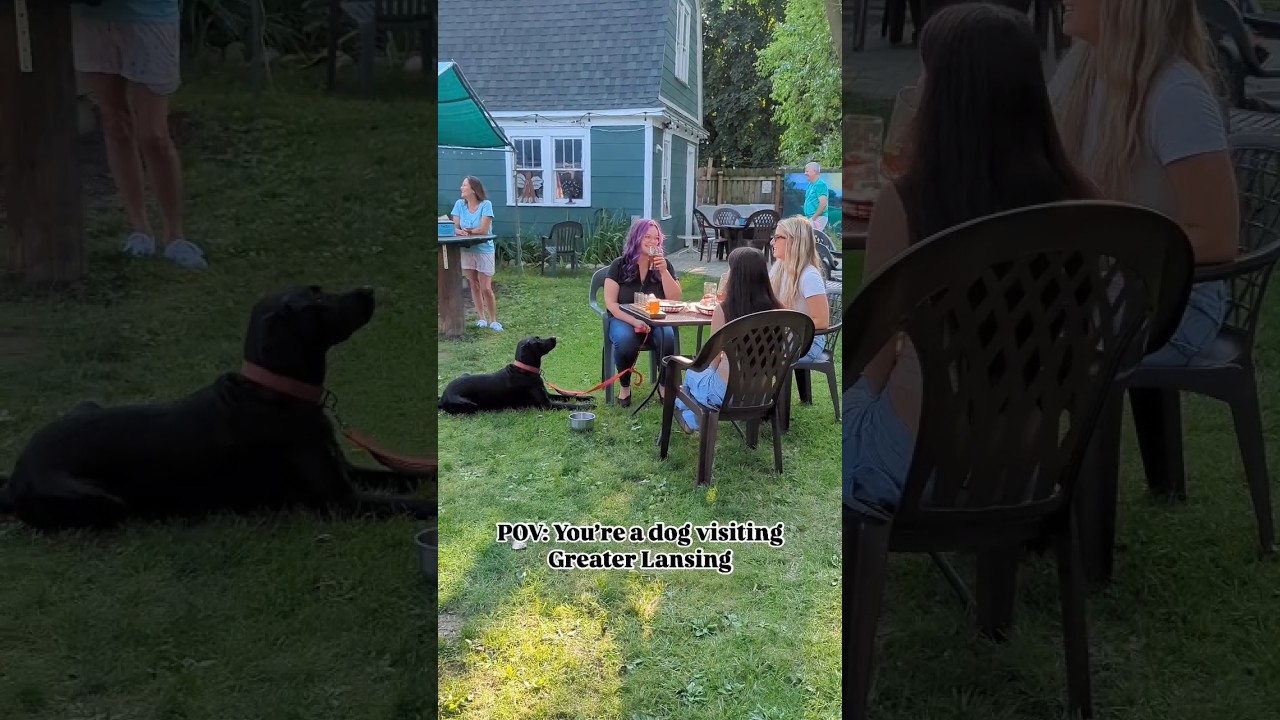 #placestovisit with your #dog in Lansing, MI