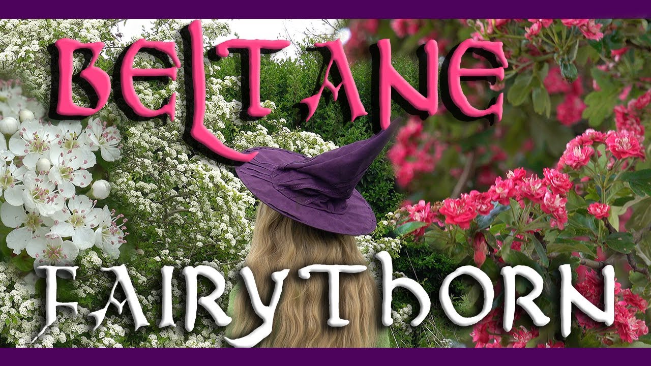 The Fairy Thorn | | Hawthorn Fairylore (Summer) | | Hawthorn Tree Series part 2