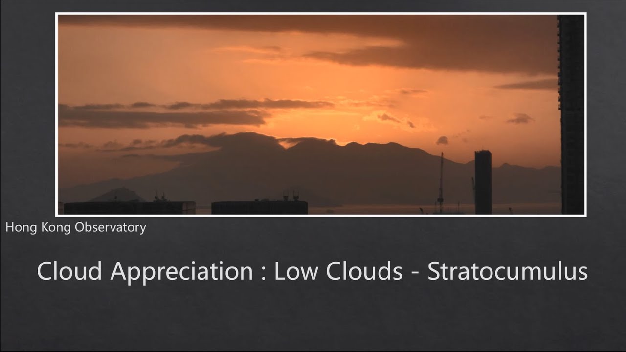 Cloud Appreciation: Low Cloud - Stratocumulus
