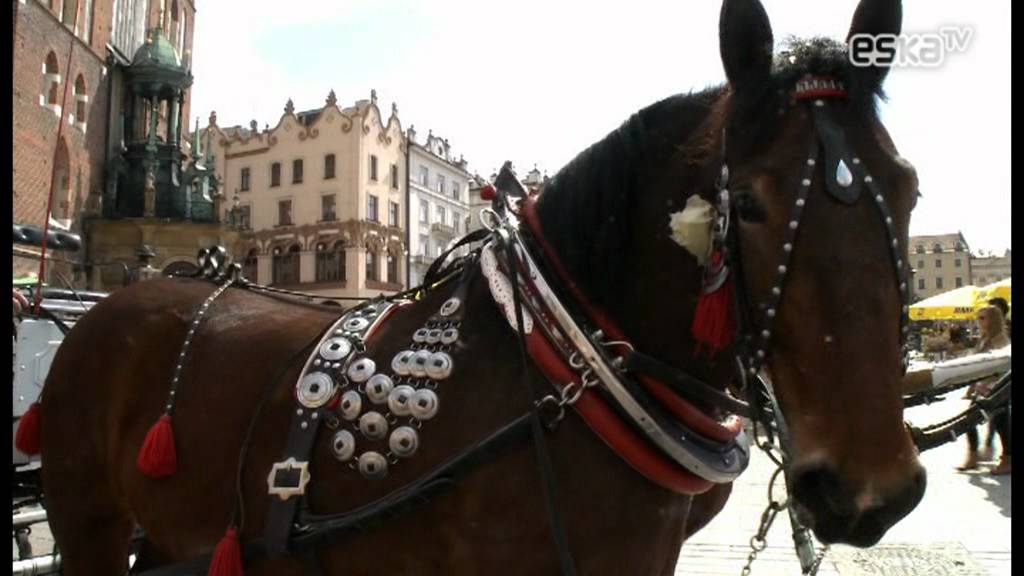 Co się słucha: Kraków