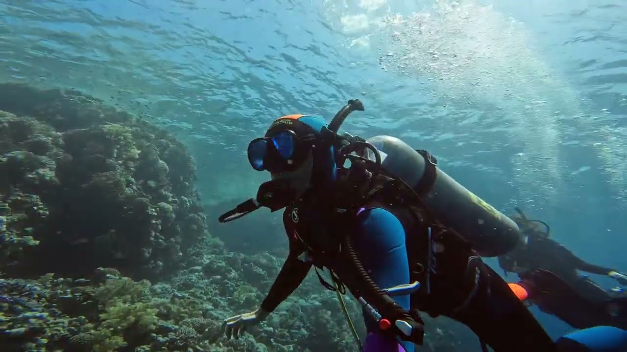 Diving at Jackson Reef, Laguna Reef and Ras Bob - Straits of Tiran - Sharm El Sheikh