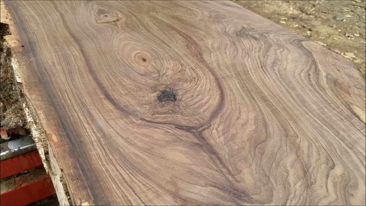 Beautiful English Walnut