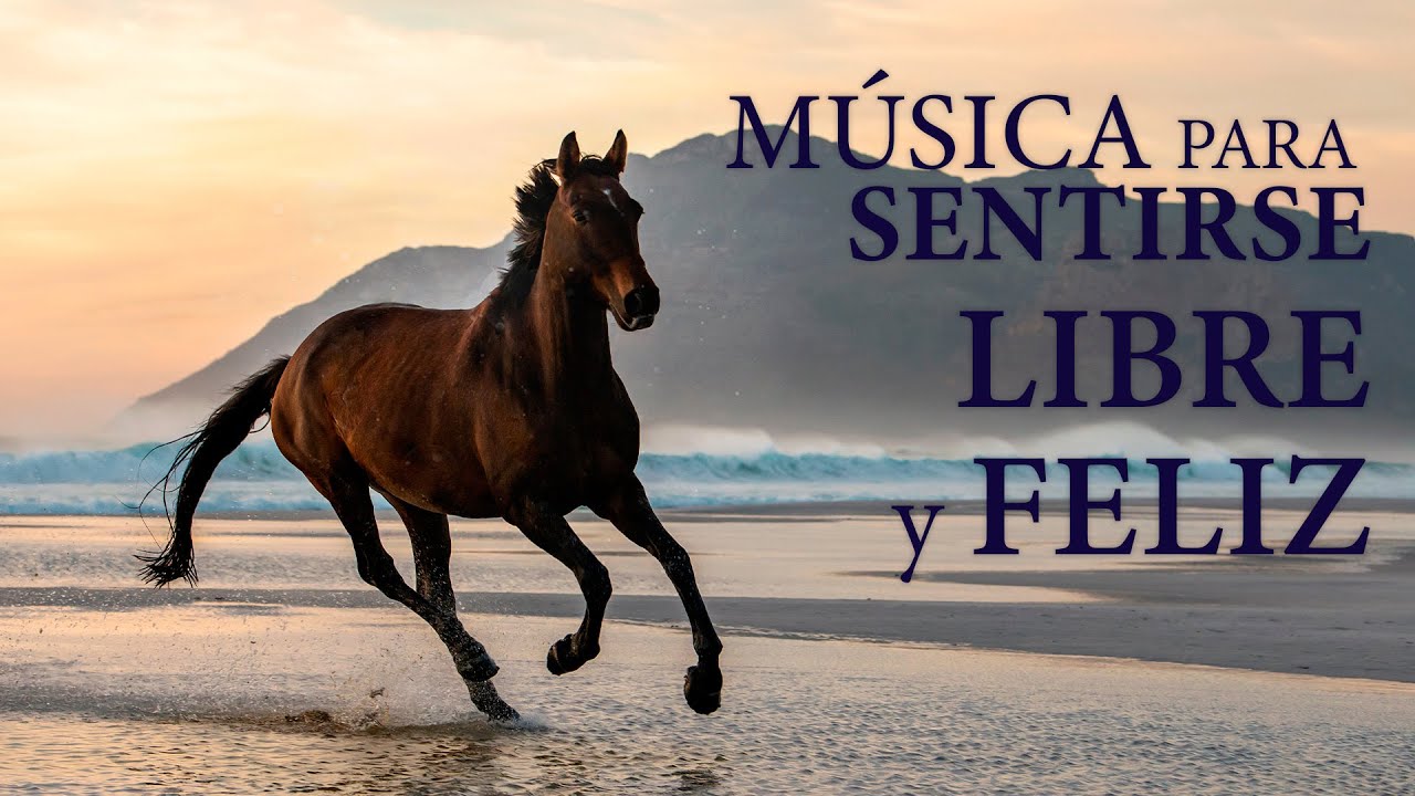 Musica Instrumental para Una Mente Libre y Feliz ¡FEEL FREE! ..fab choice...❤