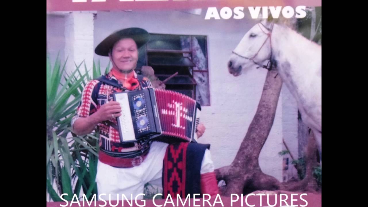 TAZINHO -  Me dei mal em Novo Hamburgo