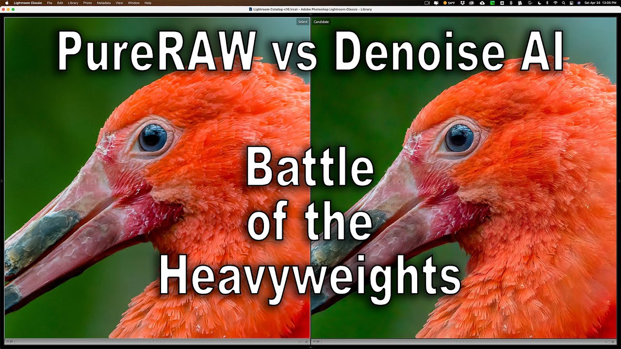 DxO PureRAW vs Denoise AI
