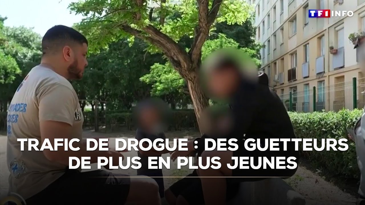 Trafic de drogue : des guetteurs de plus en plus jeunes ｜TF1 INFO