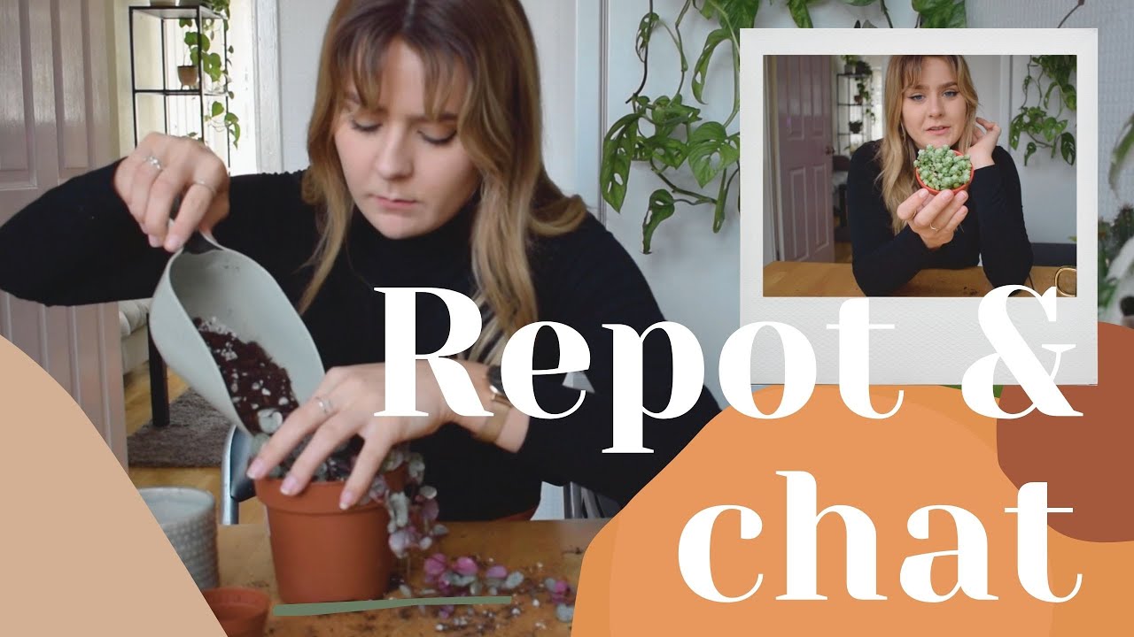 Potting up props and chat!