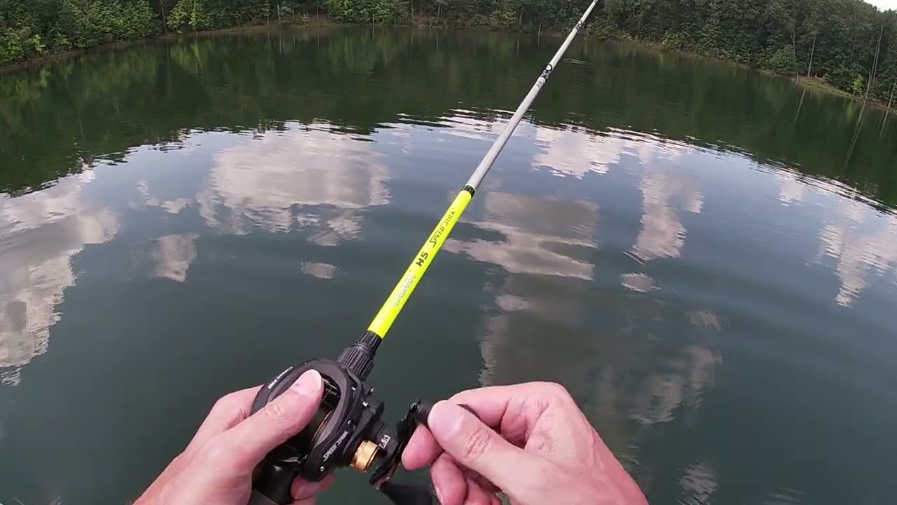 Lew's Classic Pro Baitcasting Reel