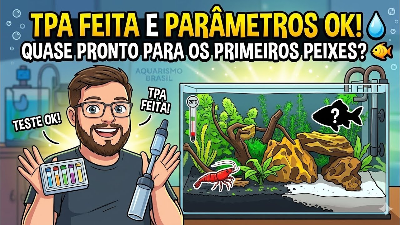 Aquário Plantado do Zero | Semana 8 - TPA e parâmetros quase prontos para os peixes