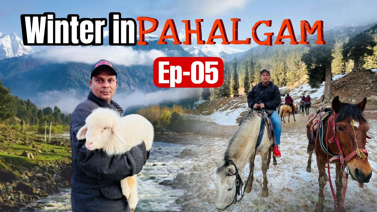 Baisaran Valley കശ്മീരിലെ മിനി സ്വിറ്റ്സർലൻഡ് | Pahalgam Kashmir Winter Trip Ep 5 |
