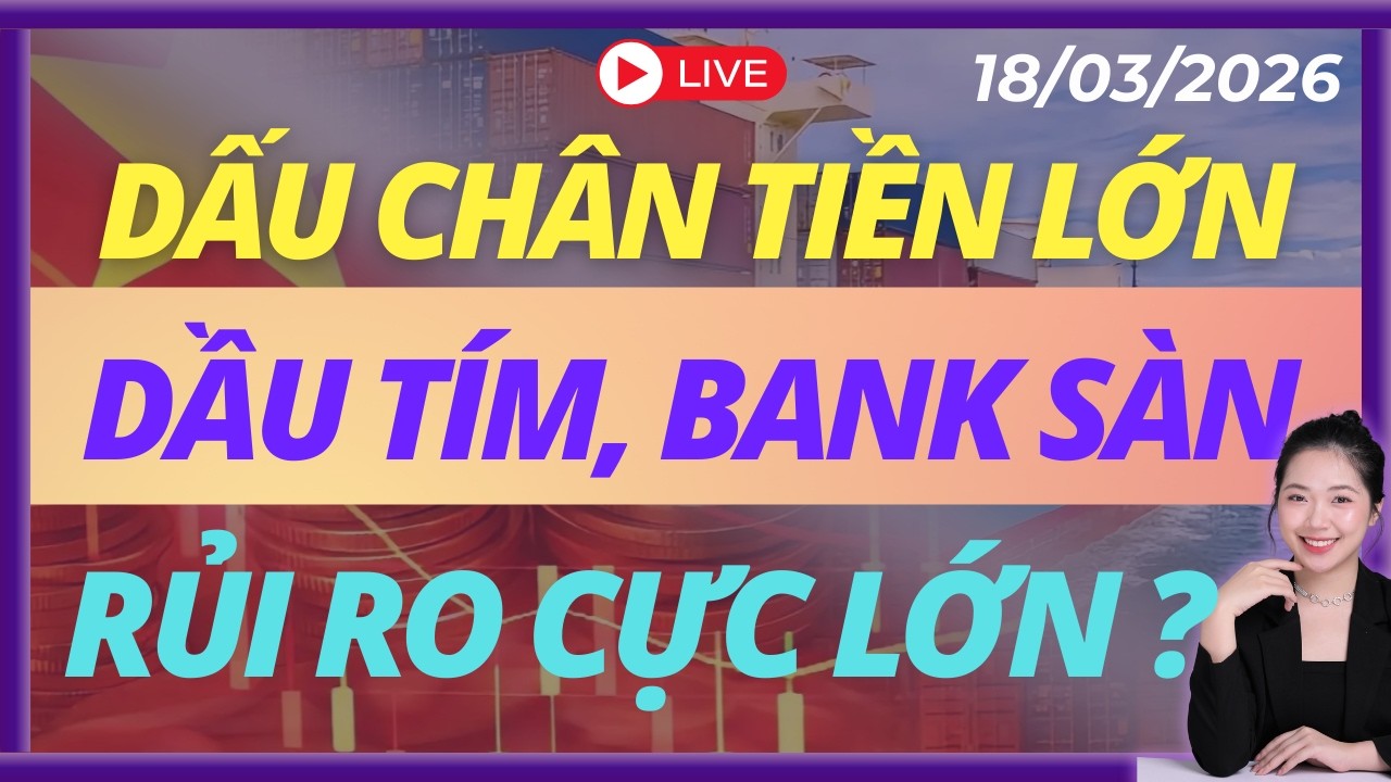 Phân Đạm, Dầu Khí Tím Lịm, ý Chí Dòng Tiền Lớn? | LIVESTREAM | DAILY