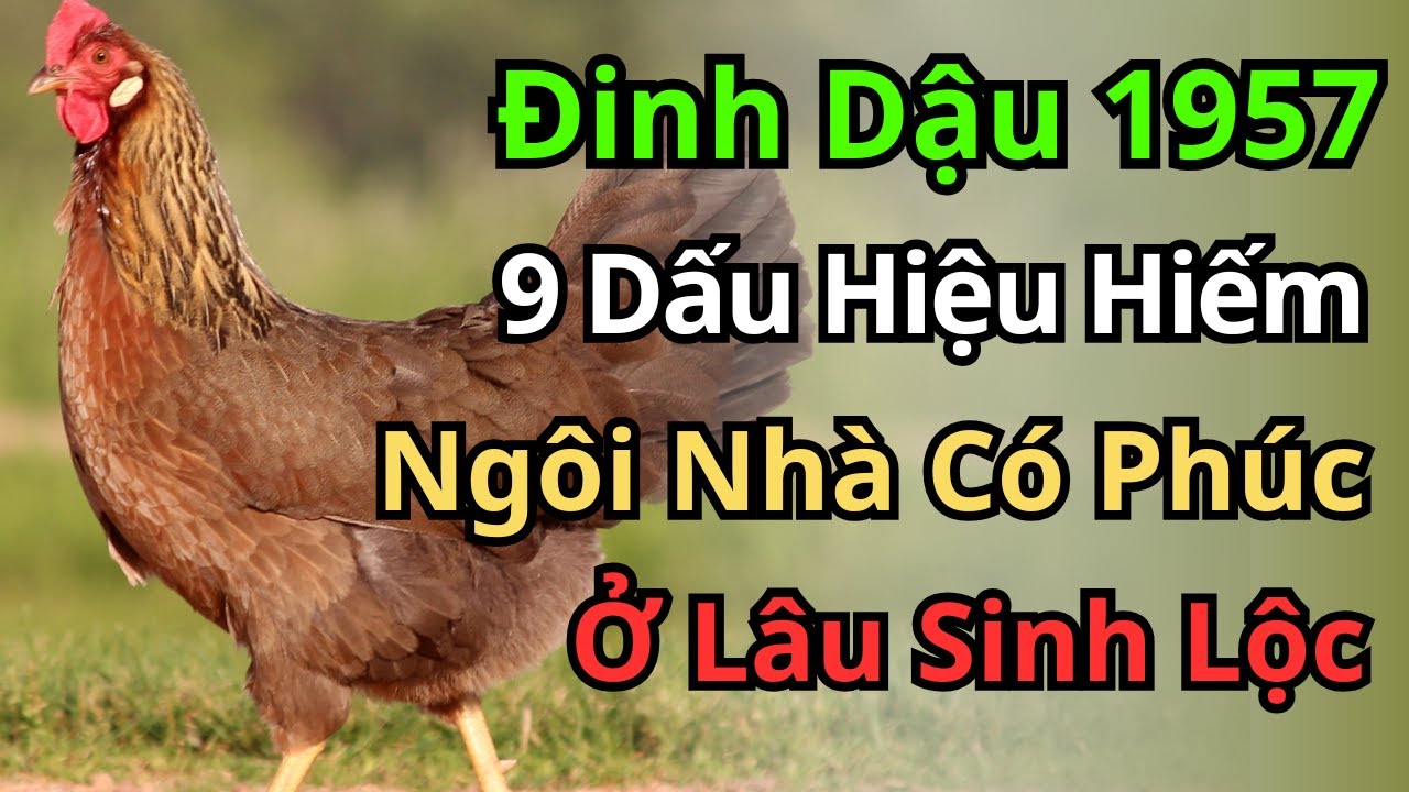 Chúc Mừng 1957! Nếu Nhà Có 1 Trong 9 Dấu Hiệu Này, Đích Thị Có Chư Phật Độ Trì, Con Cháu Thành Hiển