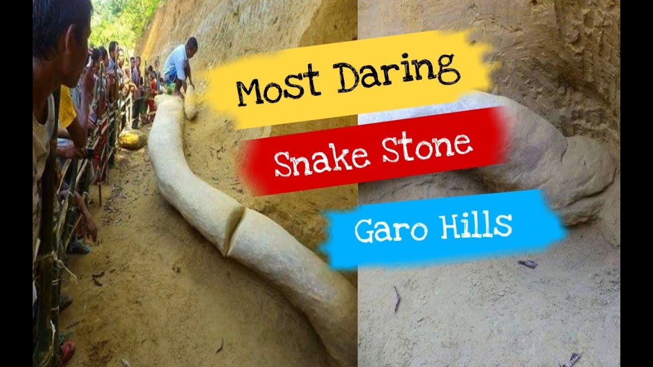 The Most Daring Picture  Snake Stone