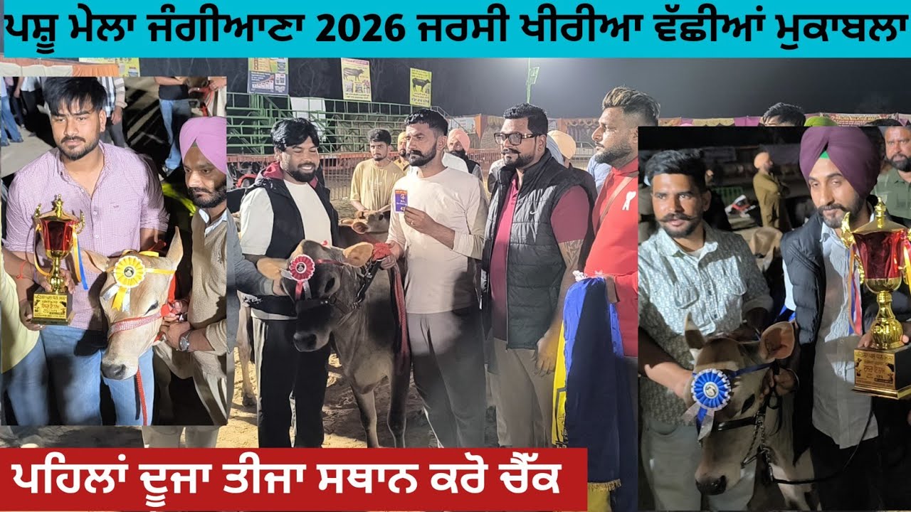 ਪਸ਼ੂ ਮੇਲਾ ਜੰਗੀਆਣਾ 2026 ਖੀਰੀਆ ਜਰਸੀ ਵੱਛੀਆਂ ਦਾ ਮੁਕਾਬਲਾ। ਪਹਿਲਾਂ ਦੂਜਾ ਤੀਜਾ ਸਥਾਨ ਕਰੋ ਚੈੱਕ।