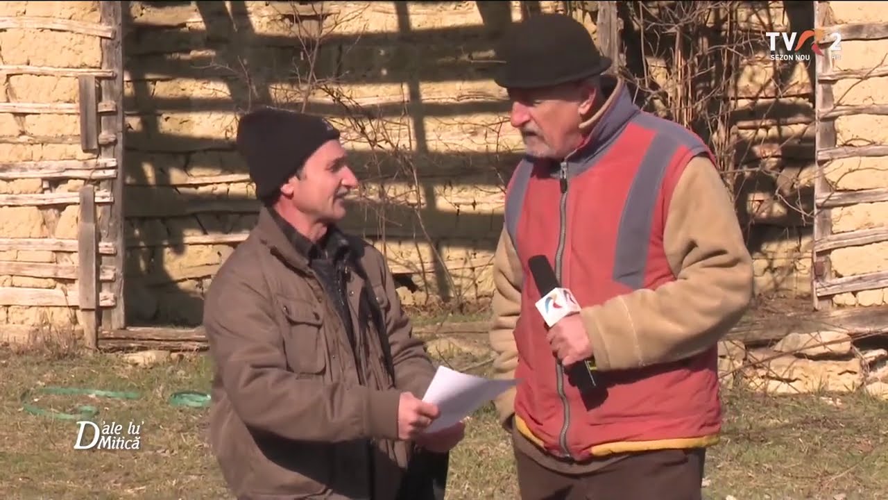 Vărul Vili și drujba fermecată
