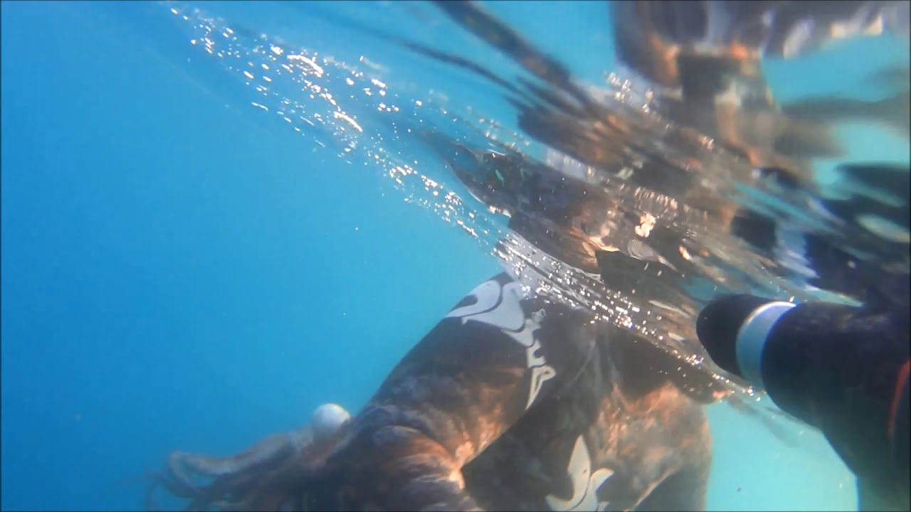 PESCA SUB - VACCINO ANTI COVID-19 - RITORNO IN MARE!
