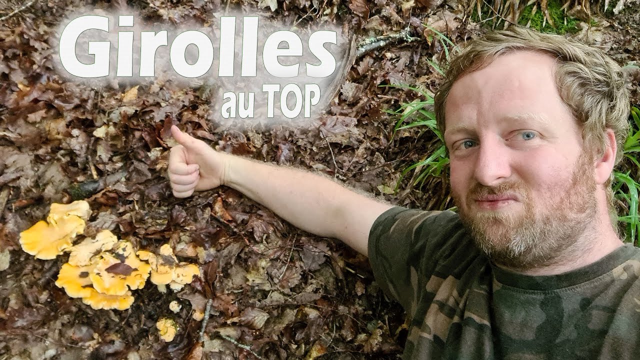 Girolles 2021 : On commence les vacances par une belle journée aux girolles !