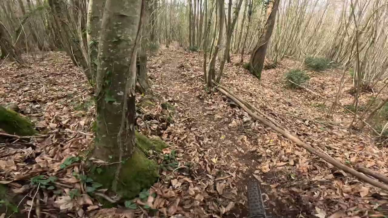 Monte Cavo - 8 Basso MTB