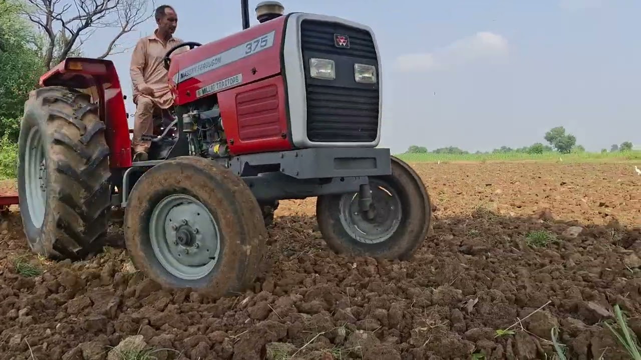 Ghuman zari farm Gujrat #Pakistan #viral #agricultural #farming #foryou #freefire #keşfet 