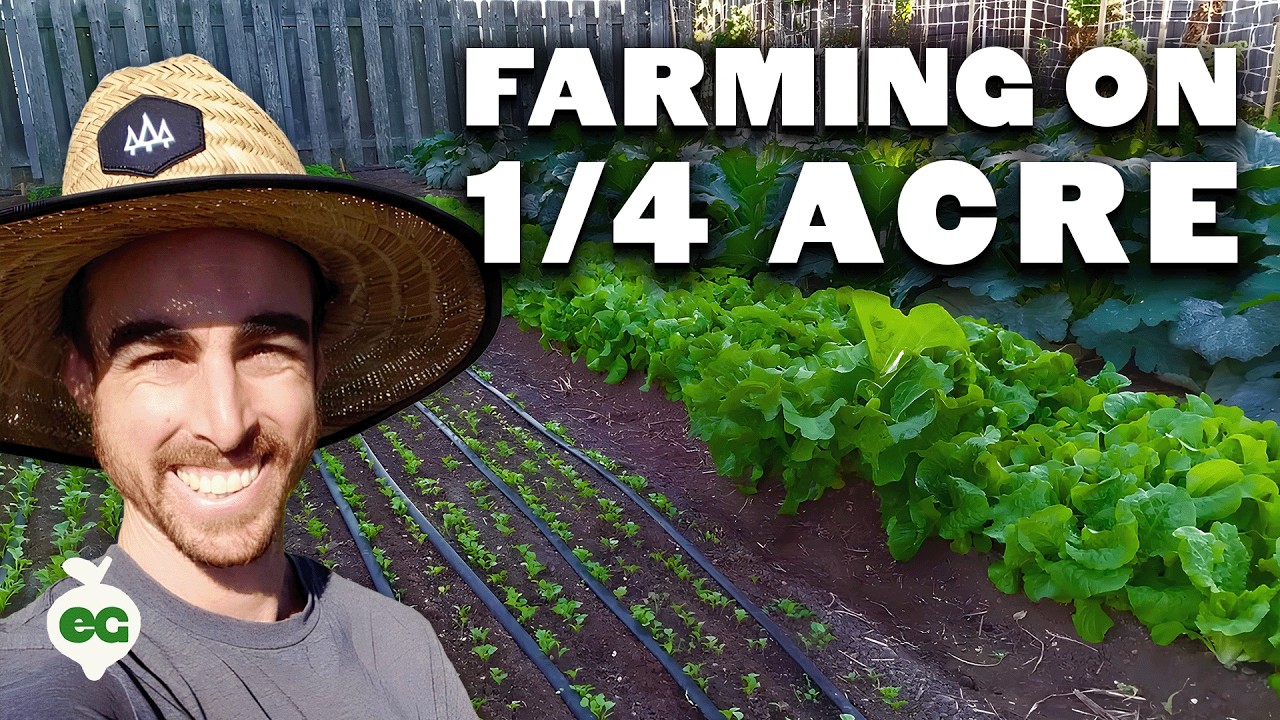 Quitting Your Job To Farm on a Quarter Acre In Your Backyard?