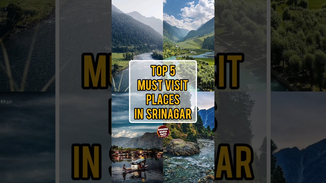 TOP 5 Must Visit Places In Srinagar | Amazing World Facts