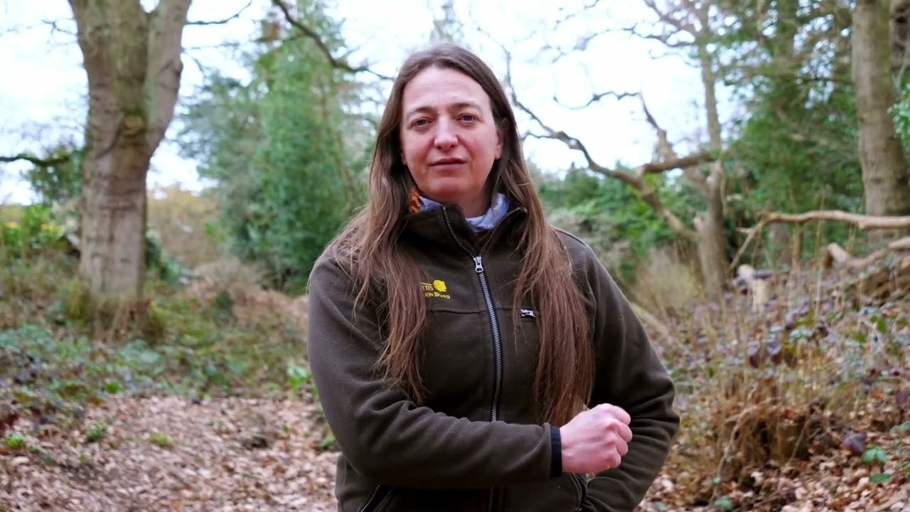 Hillforts of the Chilterns: Bulstrode Camp